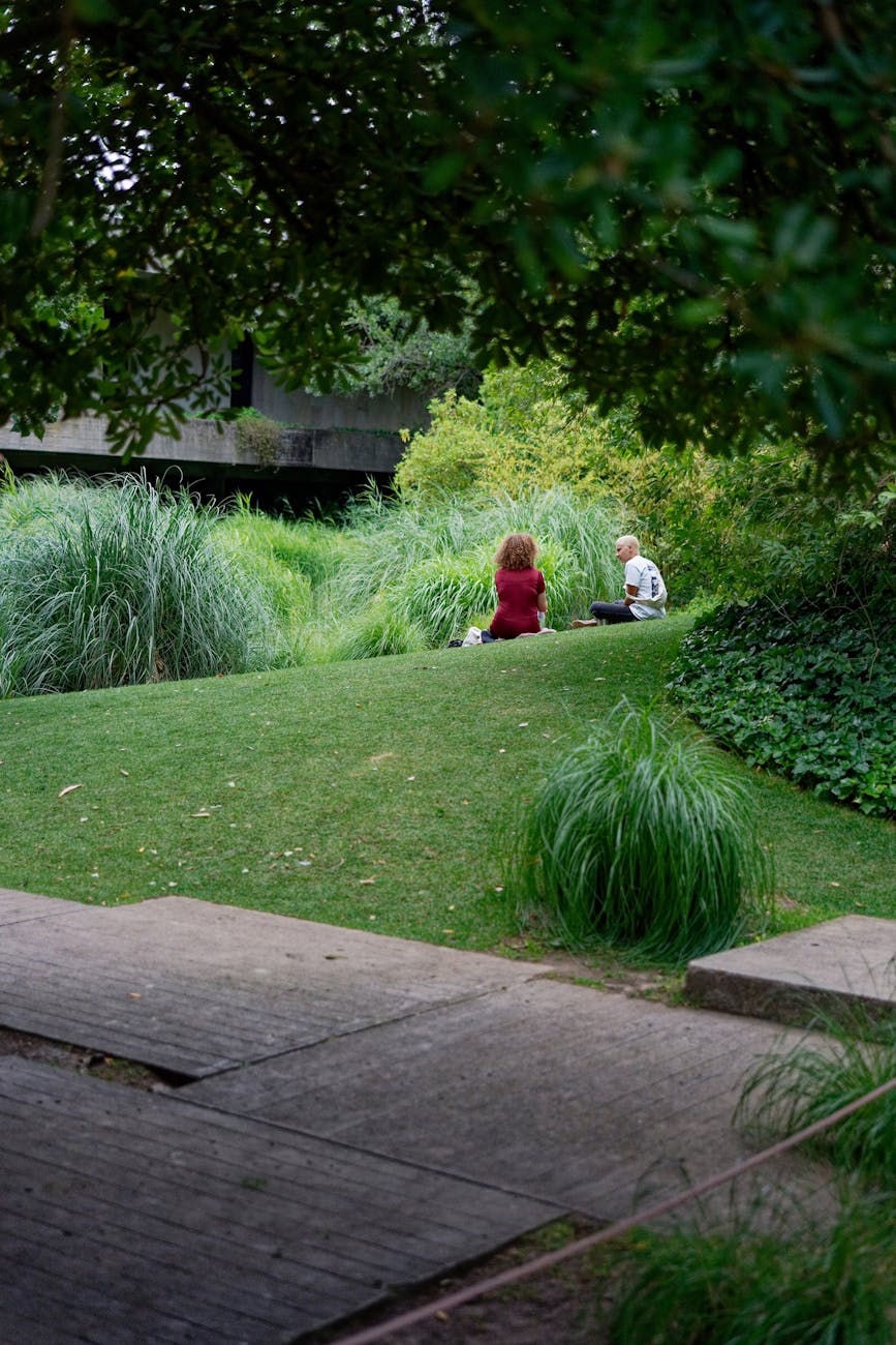 people sitting at park