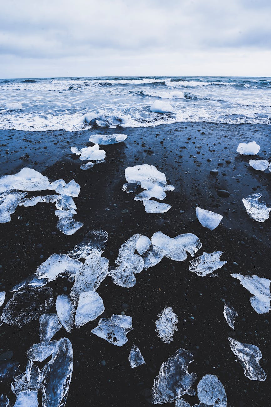 ice pieces and stones on coast